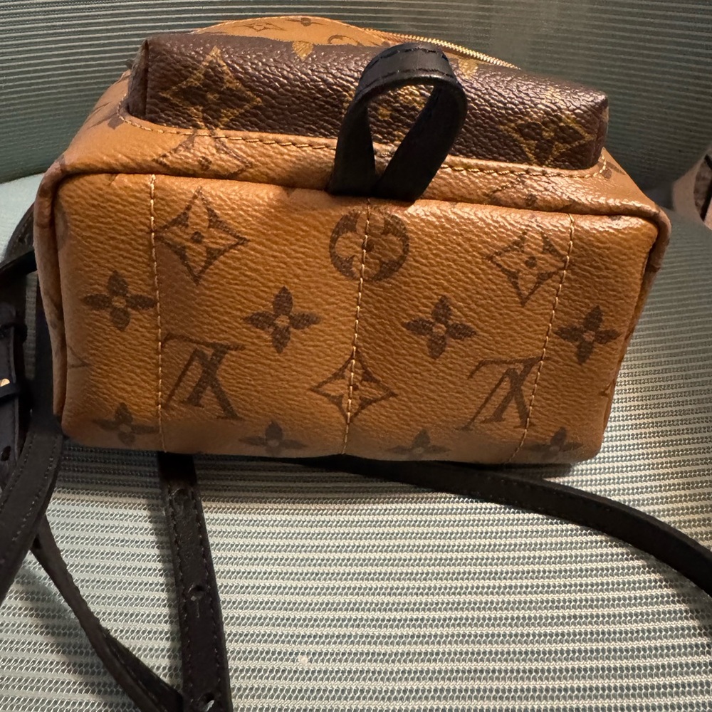 Louis Vuitton Reverse Monogram Palm Springs Mini Backpack - Picture 5 of 7